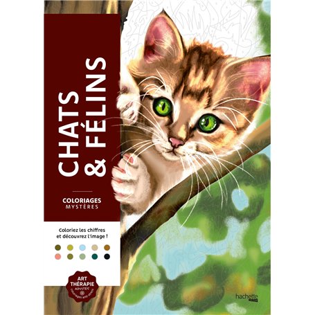 Coloriages mystères - Chats et félins