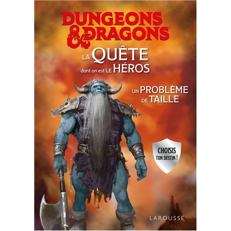 DUNGEONS & DRAGONS La Quête dont on est le héros - Un problème de taille