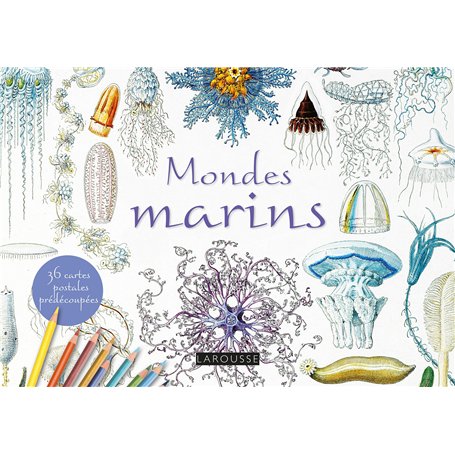 Cartes postales à colorier : Mondes marins