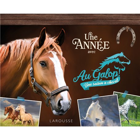 Une année avec AU GALOP
