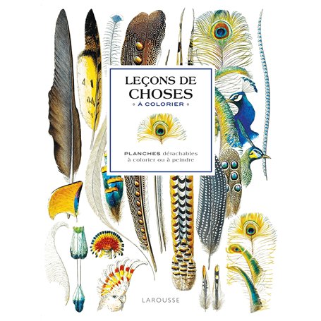 Affiches à colorier : Leçons de choses