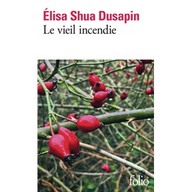 Le vieil incendie