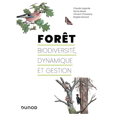 Forêt : biodiversité