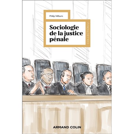 Sociologie de la justice pénale