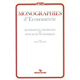 Rendements croissants et efficacité économique 21,04 €