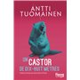 Un castor de dix-huit mètres