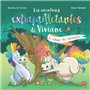 Les aventures extrapailletantes de Viviane - Le village des farfadets