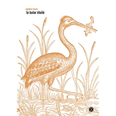 Le Butor étoilé