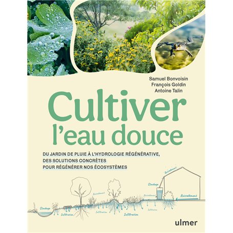 Cultiver l'eau douce - Du jardin de pluie à l'hydrologie régénérative