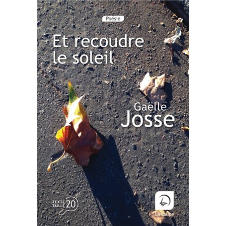Et recoudre le soleil 14,19 €