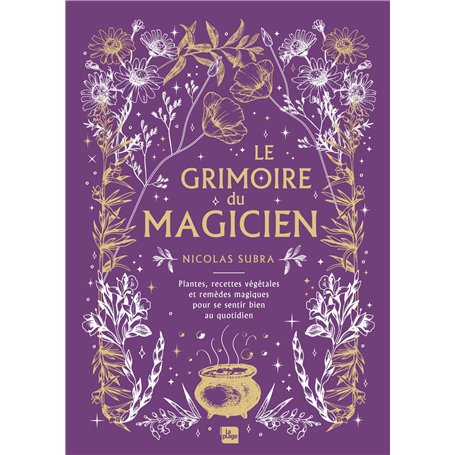Le grimoire du magicien