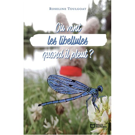 Où vont les libellules quand il pleut ?