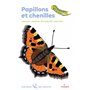 Papillons et chenilles