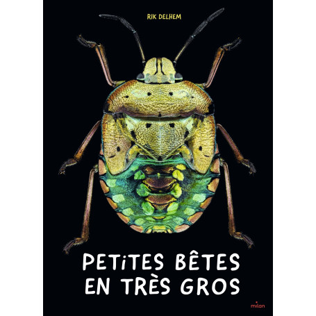 Petites bêtes en très gros