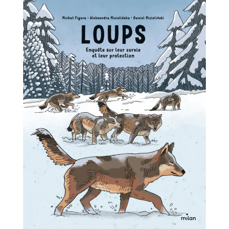 Loups : enquête sur leur survie et leur protection