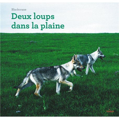 Deux loups dans la plaine