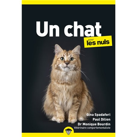 Un chat pour les nuls