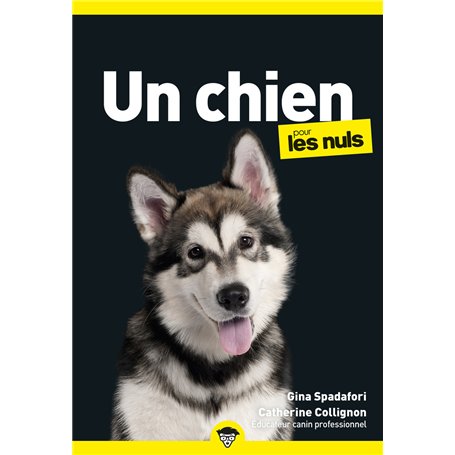 Un chien pour les nuls