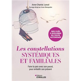 Les constellations systémiques et familiales 17,51 €