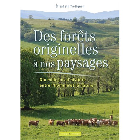 Des forêts originelles à nos paysages
