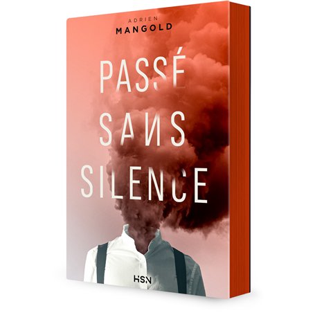 Passé sans silence