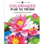 Coloriages mystères - Les merveilles de la nature