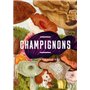 Champignons - Secrets des sous-bois