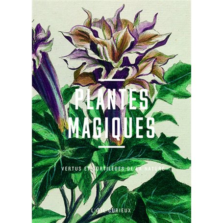 Plantes magiques - Vertus et sortilèges de la nature