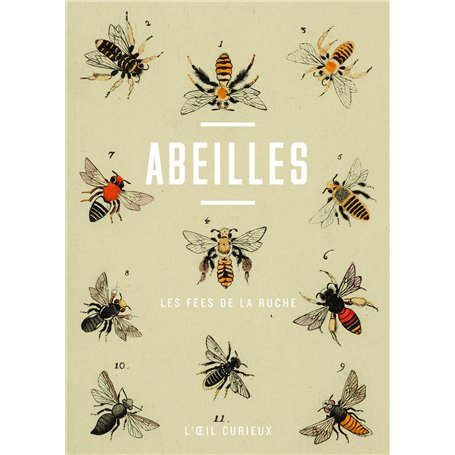 Abeilles - Les fées de la ruche