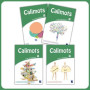 CALIMOTS CE1 Guide pédagogique