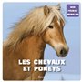 Mon 1er animalier - Chevaux et poneys