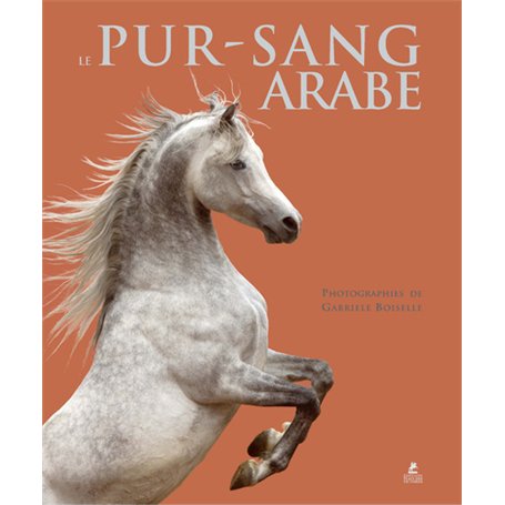 Le pur-sang arabe
