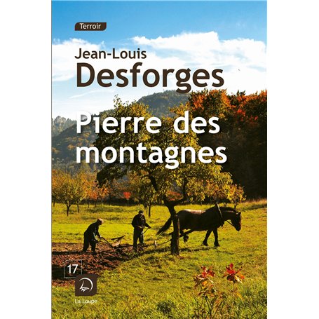 Pierre des montagnes