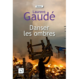 Danser les ombres 20,54 €