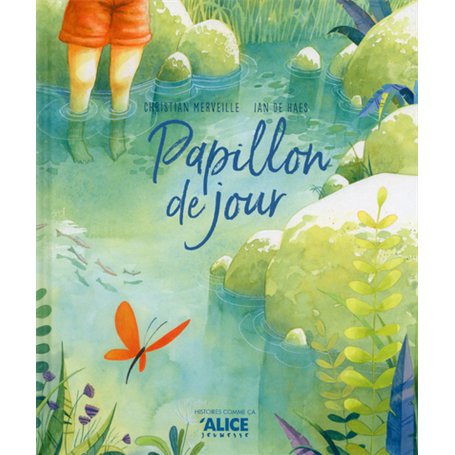 Papillon de jour 13,21 €