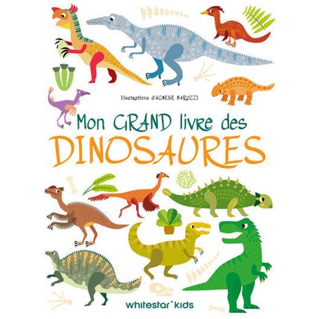 Mon grand livre des dinosaures