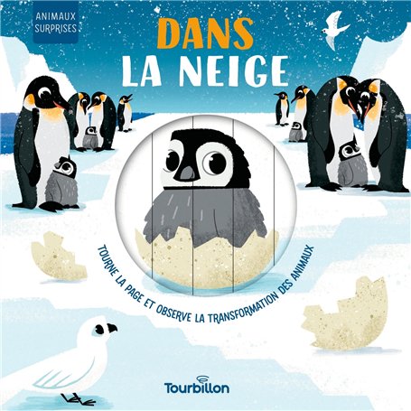 Dans la neige 11,25 €