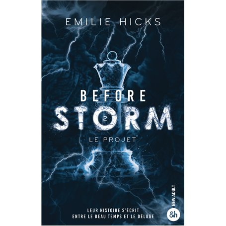 Before Storm - T2 : Le projet