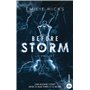 Before Storm - T2 : Le projet