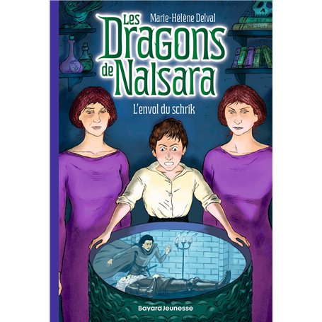 Les dragons de Nalsara