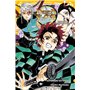Demon Slayer - Roman jeunesse T04