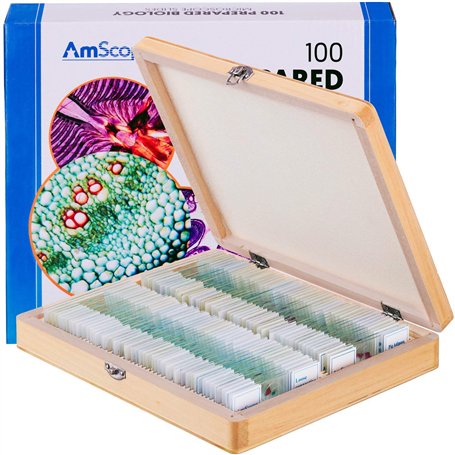 AmScope Lot de 100 Diapositives de Microscope préconçues pour Jeu de biologie à la Maison