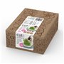 Catit Kit Herbe à Chat 3 Pièces