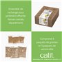 Catit Kit Herbe à Chat 3 Pièces