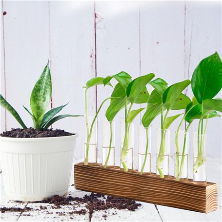 accessoires de peinture d