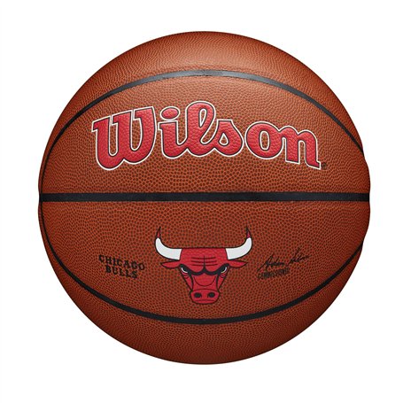 Wilson NBA Team Alliance BSKT