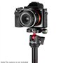 Neewer Tête à Balle panoramique avec Rotation de 360° - avec Plateforme Rapide 1/4 et Niveau à Bulle - pour Monopode, Trépied de