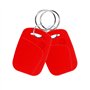 FTSTech 10pcs Porte-clés RFID Double Fréquence 125KHz et 13