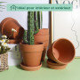 Pots en Terre Cuite avec Soucoupe – Pots de Fleurs en Argile Cactus Pot de Fleurs Succulents Pot de Drainage, idéal pour Les Pla