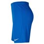 Short de Sport pour Homme Nike DRI FIT PARK III BV6855 463 Bleu